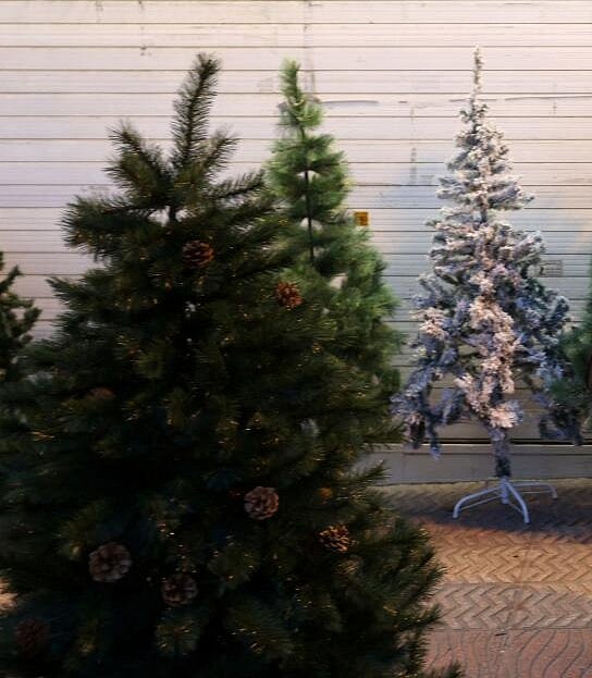 ಕಠ್ಮಂಡುವಿನಲ್ಲಿ ಪ್ಲಾಸ್ಟಿಕ್ ಮುಕ್ತ ಕ್ರಿಸ್‌ಮಸ್ ಆಚರಣೆ 