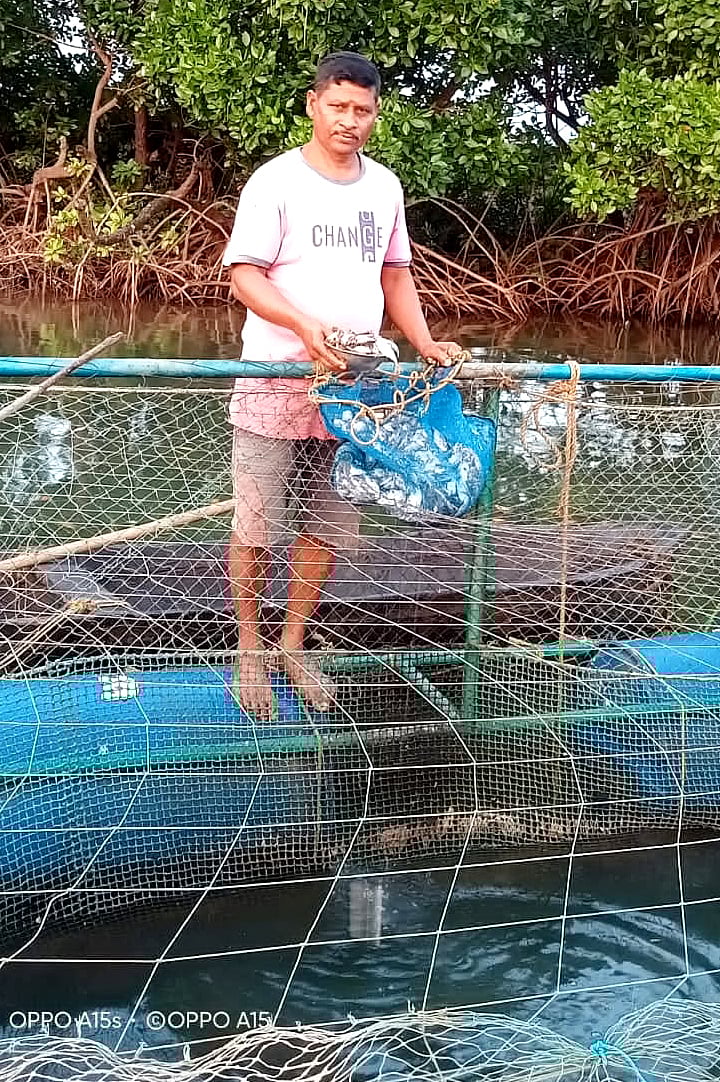 ಅಘನಾಶಿನಿಯಲ್ಲಿ ಕುರುಡೆ ಮೀನಿನ ಕೃಷಿ: ನಿಬ್ಬೆರಗಾಗಿಸಿದ ಉದಯ ಹಿಣಿ ಶ್ರಮ