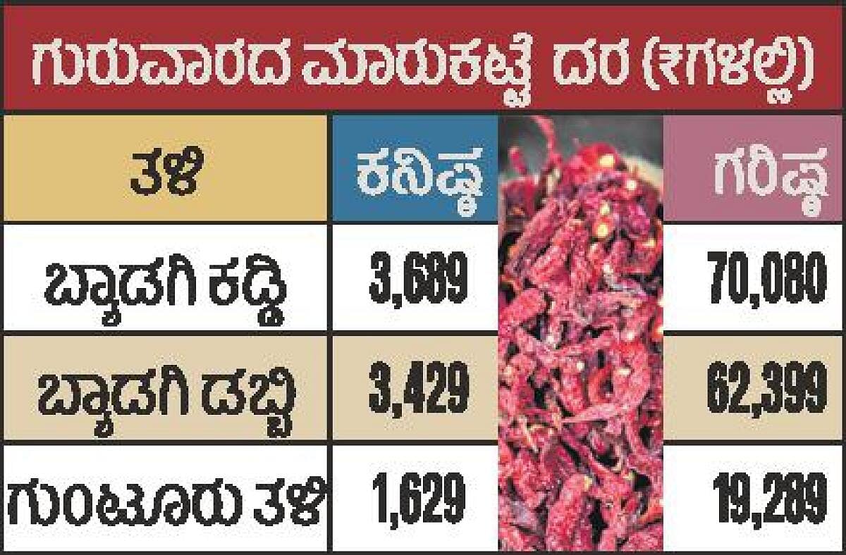 ಮೆಣಸಿನಕಾಯಿ ಆವಕದಲ್ಲಿ ಮತ್ತೆ ಹೆಚ್ಚಳ: ಕಡ್ಡಿ ಮೆಣಸಿನಕಾಯಿಗೆ ದಾಖಲೆ ದರ 