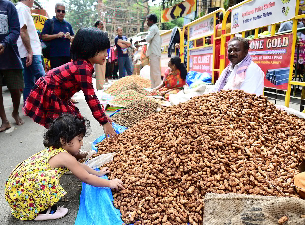 ಮಲ್ಲೇಶ್ವರ: ಕಡಲೆಕಾಯಿ ಪರಿಷೆಗೆ ಚಾಲನೆ