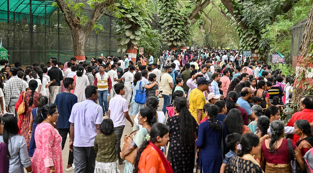 ಮೈಸೂರು | ಹೊಸ ವರ್ಷಾಚರಣೆ ಹಿನ್ನೆಲೆ; ಪ್ರವಾಸಿ ತಾಣಗಳಲ್ಲಿ ಜನಜಂಗುಳಿ
