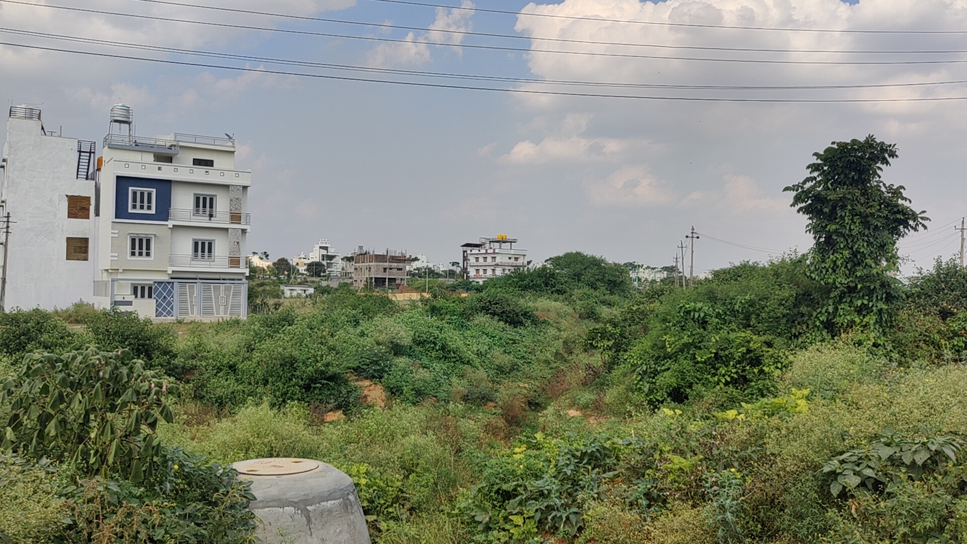 ಅಗಲವಾದ ನಾಲೆ ಹಾಗೂ ಬಫರ್‌ ವಲಯ ಹಸಿರಿನಿಂದ ತುಂಬಿದೆ