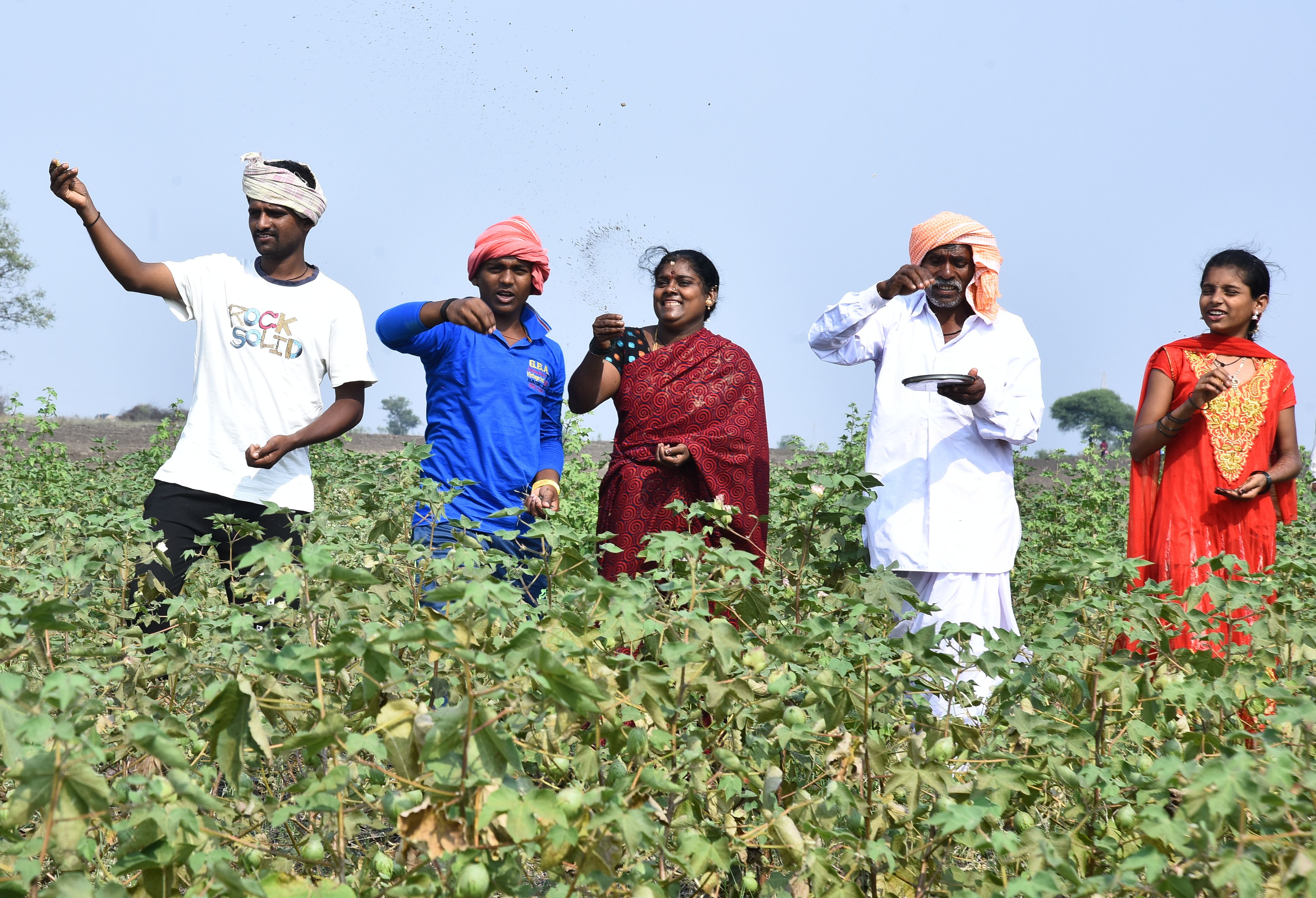 ಮಲ್ಲಪ್ಪ ಹೊಸಮನೆ ಅವರ ಹೊಲದಲ್ಲಿ ಚರಗಾ ಚೆಲ್ಲುತ್ತಿರುವುದು