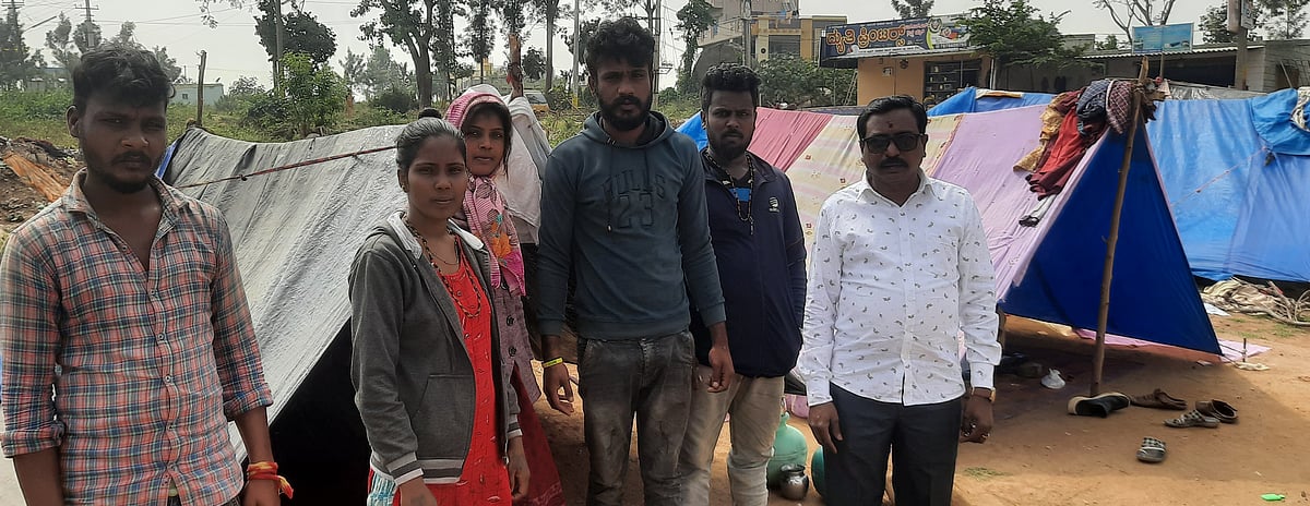 ಮಾಗಡಿ: ತಾತ್ಕಾಲಿಕ ಗುಡಾರಗಳಲ್ಲಿ ಅಲೆಮಾರಿಗಳ ವಾಸ