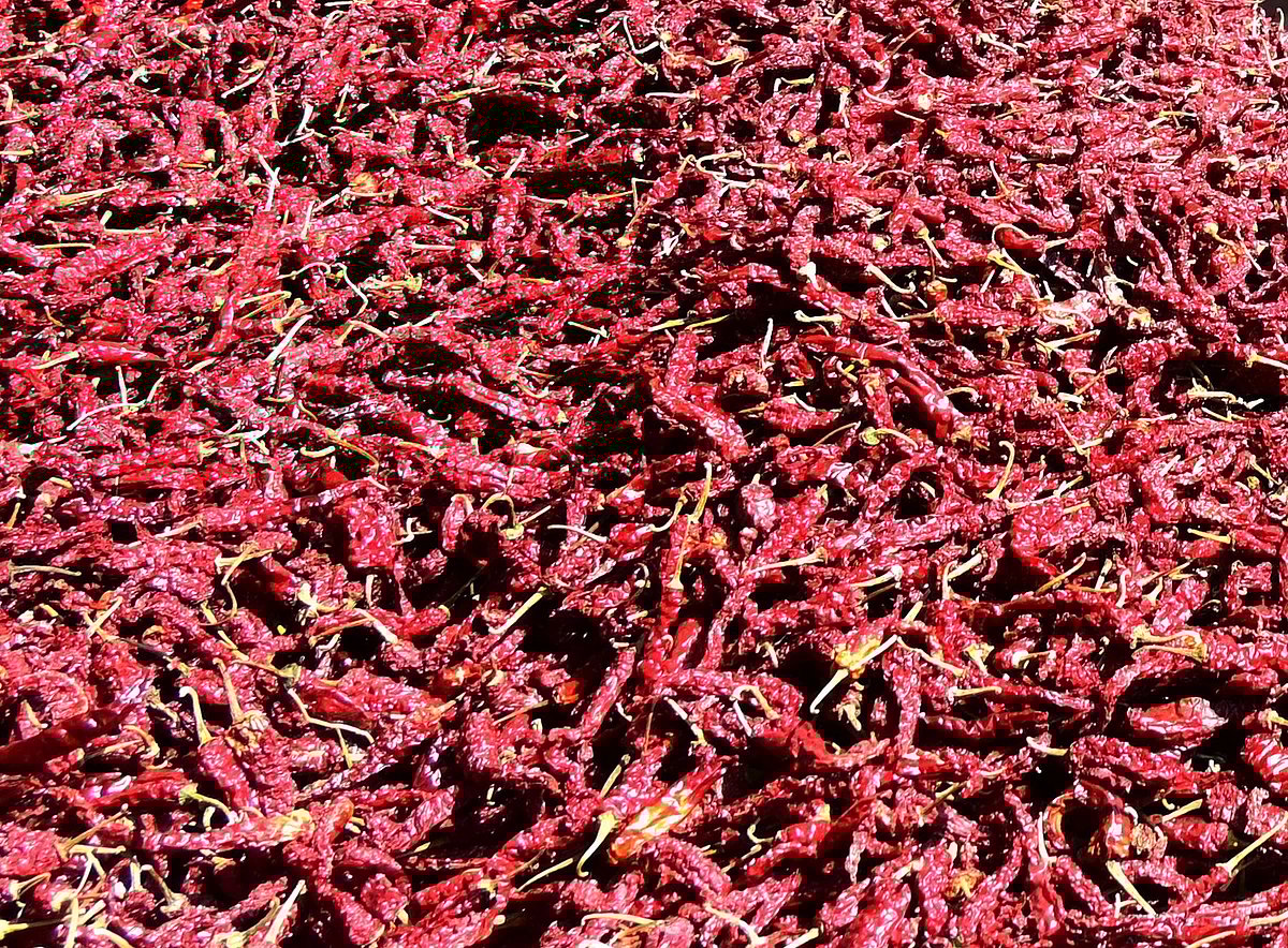 ಹುಬ್ಬಳ್ಳಿ | ಒಣ ಮೆಣಸಿನಕಾಯಿ ಮಾರಾಟ ಮೇಳ: ₹1.37ಕೋಟಿ ವಹಿವಾಟು 