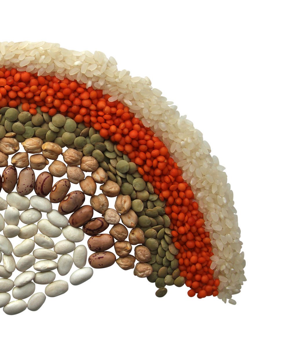 ದೇಸಿ ಬಿತ್ತನೆ ಬೀಜ ಉತ್ಸವ