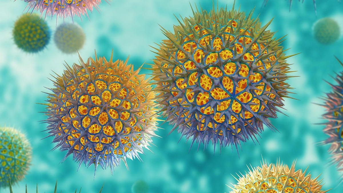 ಕೋವಿಡ್‌ –19 | ದೇಶದಲ್ಲಿ 511 ಮಂದಿಗೆ JN.1 ಸೋಂಕು: ಕರ್ನಾಟಕದಲ್ಲೇ ಹೆಚ್ಚು