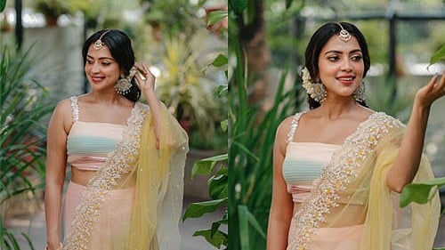 PHOTOS | ವಿಭಿನ್ನ ಲುಕ್‌ನಲ್ಲಿ ಕಂಗೊಳಿಸಿದ ನಟಿ ಅಮಲಾ ಪೌಲ್