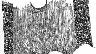 ಮಣಿಕಾ ದೇವಿ ಅವರ ಕಥೆ: ವೃದ್ಧ ಹೇಳಿದ