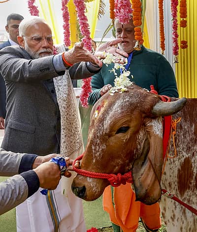 ಹಸುವಿಗೆ ಪೂಜೆ ಮಾಡಿ, ಆಹಾರ ನೀಡಿ ಪೂಜಾ ವಿಧಿ ವಿಧಾನಗಳನ್ನು ನೆವೇರಿಸಿದ ಪ್ರಧಾನಿ ಮೋದಿ.