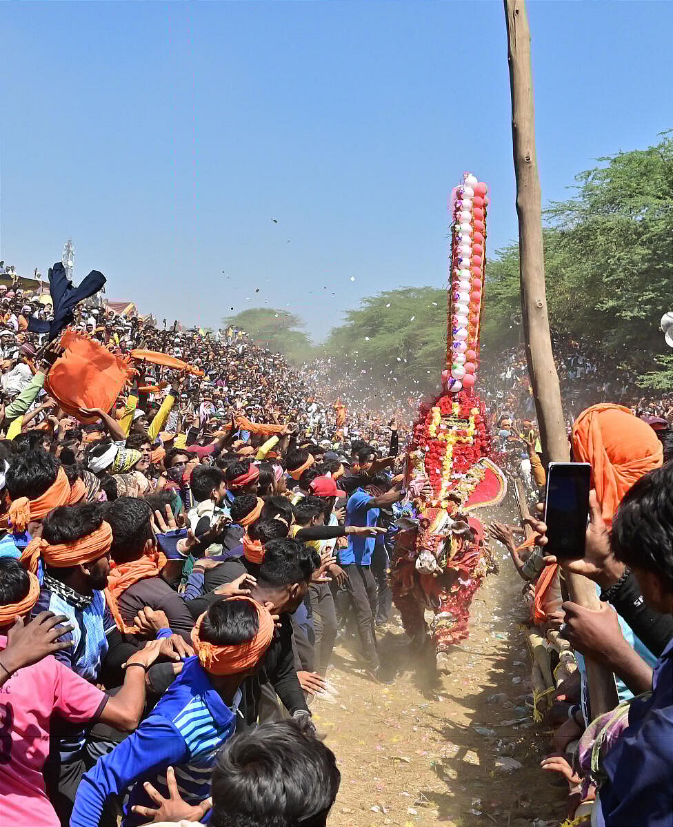 ಸಂಕ್ರಾಂತಿ ಸಂಭ್ರಮ: ಸತ್ಯ ವಾಕ್ಯಕೆ ತಪ್ಪಿ ನಡೆದರೆ…