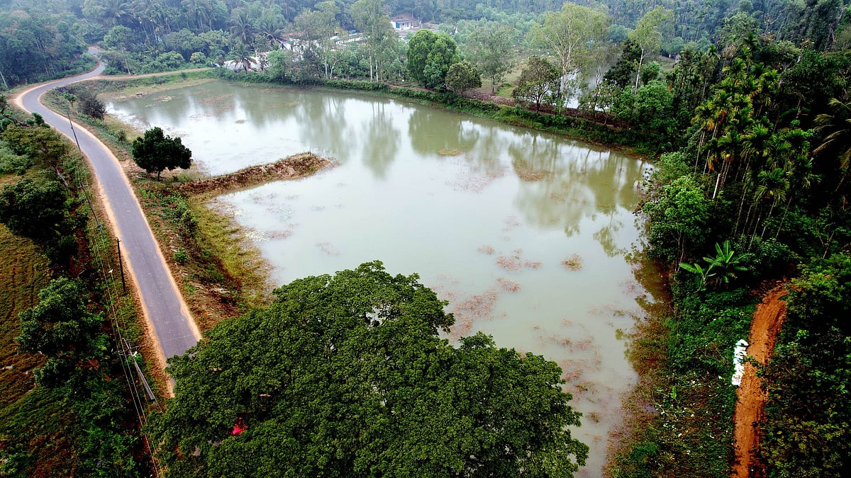 ಮಳಲಿ | ಪಾಳು ಬಿದ್ದ ಕೆರೆಗೆ ಜೀವಕಳೆ