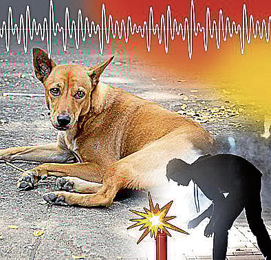 ಸಂಗತ | ಸದ್ದು, ಸಂಭ್ರಮ, ಸಂಕಟ