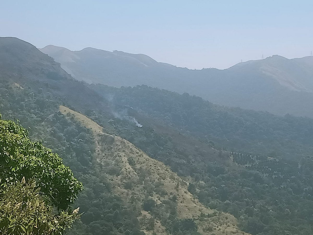 ಡೀಮ್ಡ್ ಅರಣ್ಯ | ಜಂಟಿ ಸರ್ವೆ: ಗೊಂದಲ ಪರಿಹಾರಕ್ಕೆ ಕಂದಾಯ ಇಲಾಖೆ ಸುತ್ತೋಲೆ