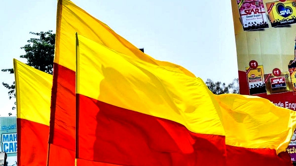 ಆಳ–ಅಗಲ: ಕವಿರಾಜಮಾರ್ಗಕಾರನ ಎಲ್ಲೆಯನ್ನೂ ಮೀರಿದ ಕನ್ನಡಿಗರ ನೆಲೆ