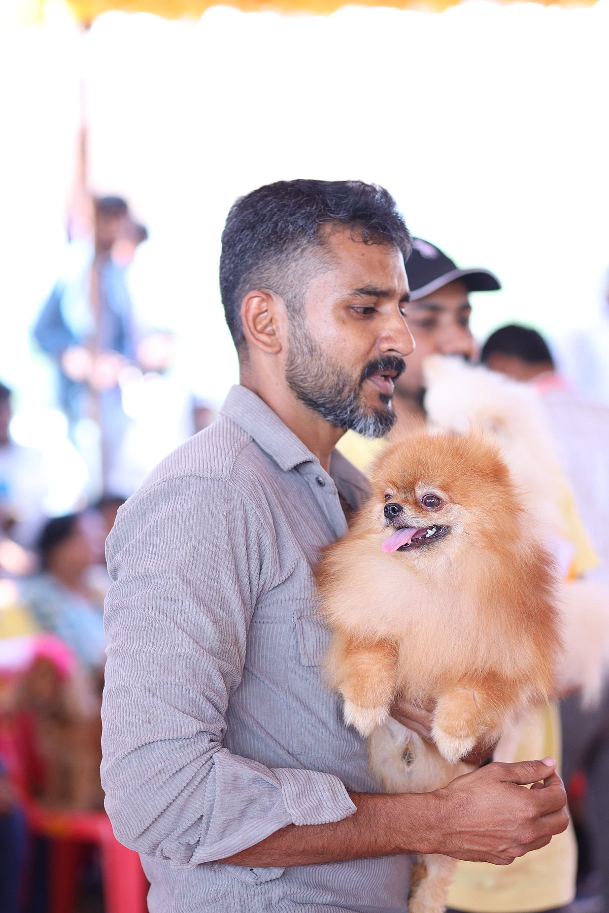 ದಾವಣಗೆರೆ: ರಾಜ್ಯಮಟ್ಟದ ಶ್ವಾನ ಪ್ರದರ್ಶನ ಏಪ್ರಿಲ್‌  6ರಂದು