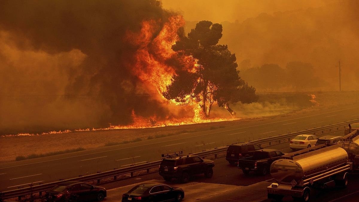 ಮಧ್ಯ ಚಿಲಿಯಲ್ಲಿ ಹರಡಿದ ಕಾಡ್ಗಿಚ್ಚು: ಕನಿಷ್ಠ 46 ಮಂದಿ ಸಾವು