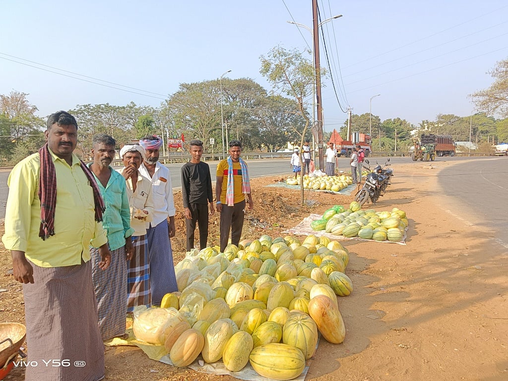 ಹೊನ್ನಾಳಿ: ಮಾರುಕಟ್ಟೆಯಲ್ಲಿ ಕರಬೂಜ ಘಮ, ಕೋಟ್ಯಂತರ ರೂಪಾಯಿ ವಹಿವಾಟು