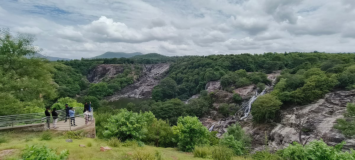ಚಾಮರಾಜನಗರ | ಹೆಚ್ಚಿದ ಪ್ರವಾಸಿಗರು; ಚೇತರಿಸಿದ ಪ್ರವಾಸೋದ್ಯಮ