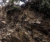 ಫಿಲಿಪ್ಪೀನ್ಸ್‌ನಲ್ಲಿ ಭೂ ಕುಸಿತ: ಅಪ್ರಾಪ್ತ ವಯಸ್ಸಿನ 27 ಮಂದಿ ಕಣ್ಮರೆ