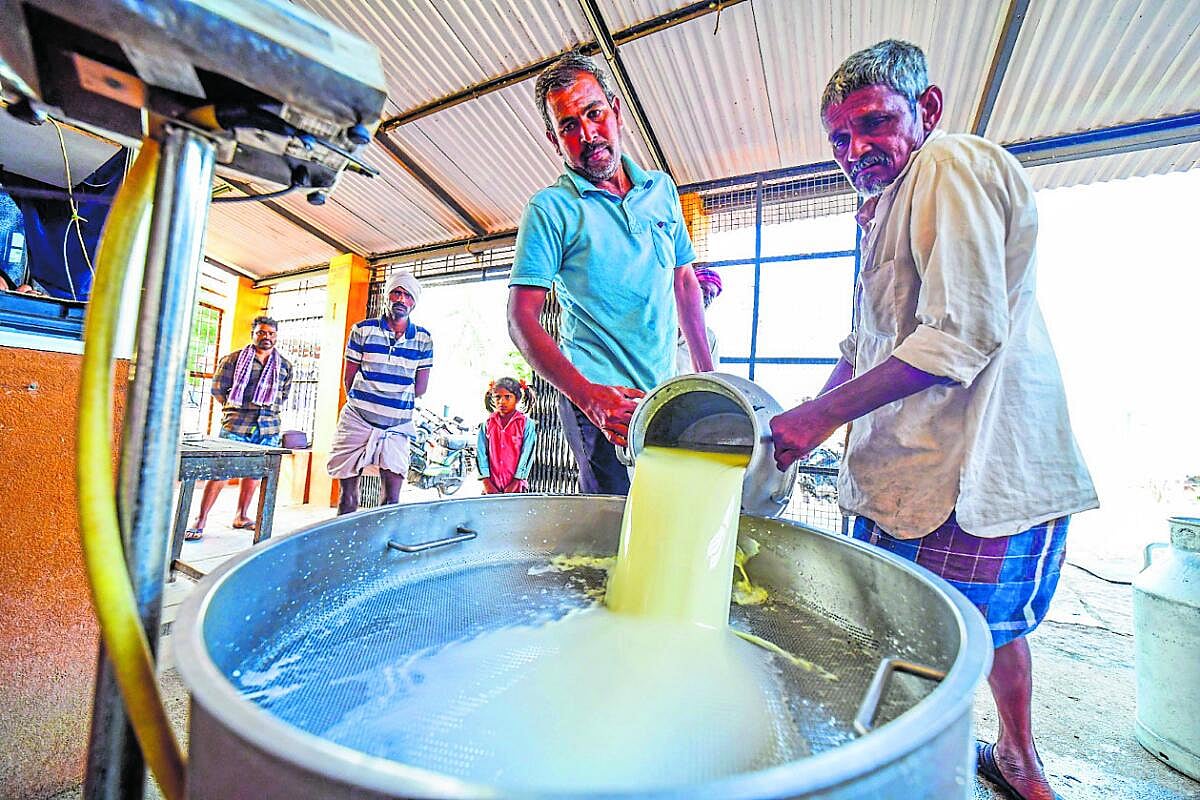 ಒಳನೋಟ | ಇದು ಬರೀ ಹಾಲಲ್ಲ!