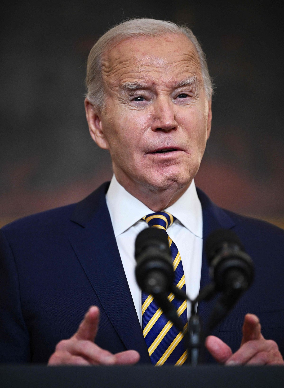 ನಿಕ್ಕಿ ಹ್ಯಾಲೆ ಪತಿ ಬಗ್ಗೆ ವೈಯಕ್ತಿಕ ಹೇಳಿಕೆ: ಟ್ರಂಪ್‌ ವಿರುದ್ಧ   ಬೈಡನ್‌ ಕಿಡಿ