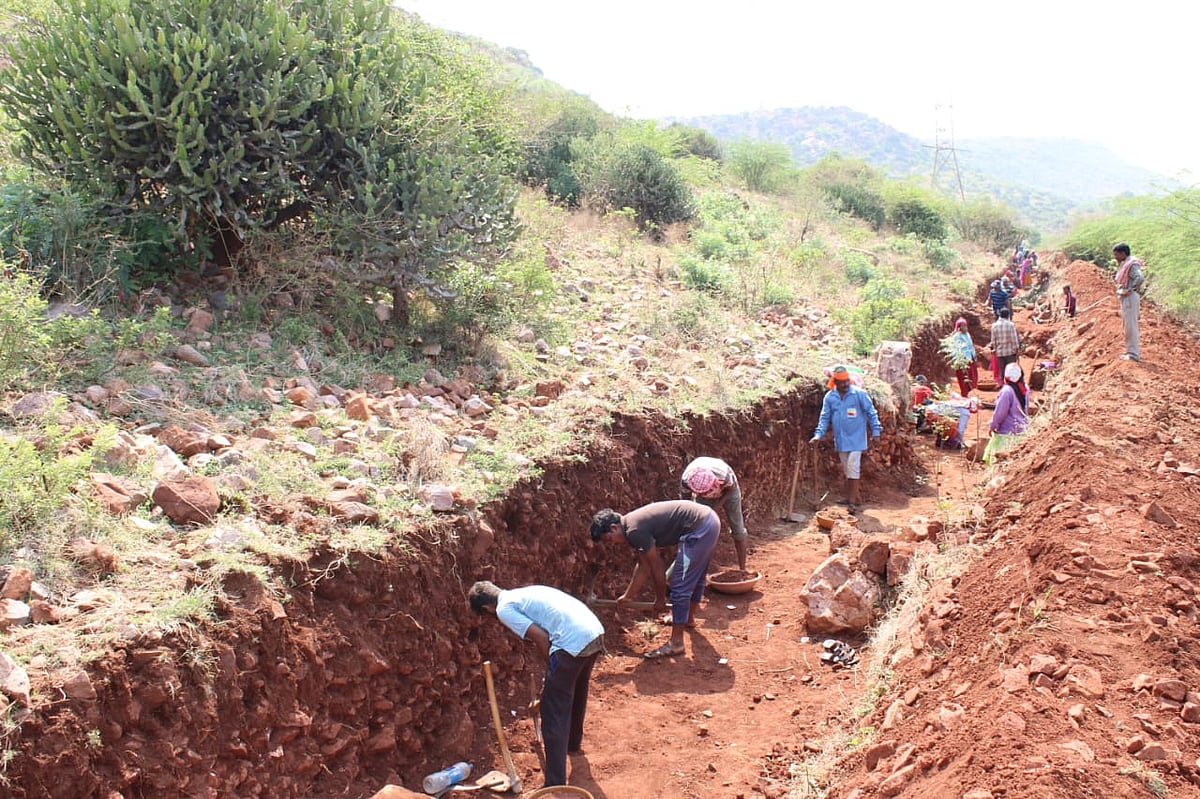 ನರೇಗಾ: ದುಡಿದರೂ ಸಿಗದ ಕೂಲಿ, ಸಂಕಷ್ಟದಲ್ಲಿ ಕಾರ್ಮಿಕರು 