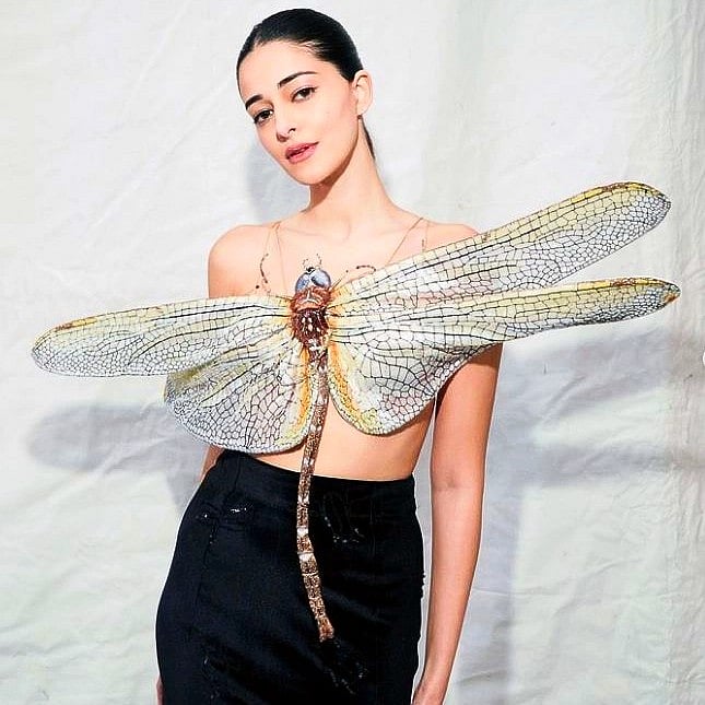 ಅನನ್ಯಾ ಪಾಂಡೆ ಮೈ ಏರಿದ ಚಿಟ್ಟೆ! ಪರಿಸರ ಪಾಠ ಹೇಳಿದ ನಟಿ