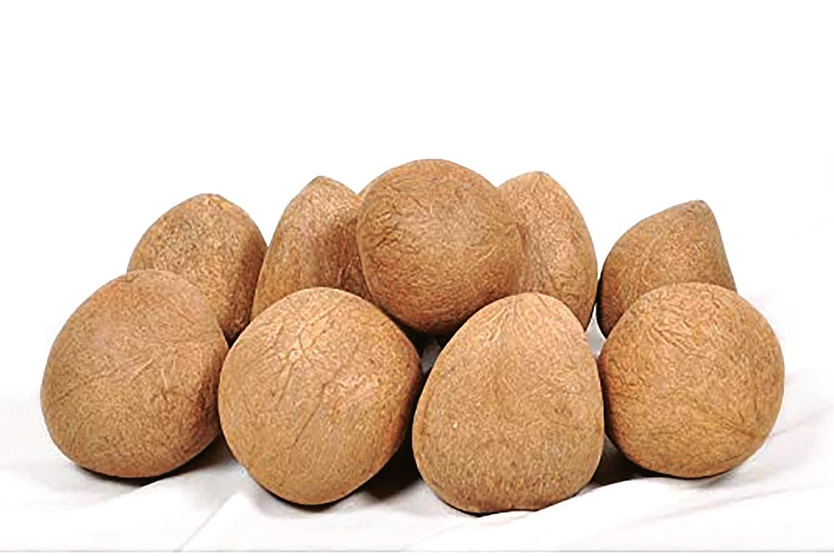 6.25 ಲಕ್ಷ ಕ್ವಿಂಟಲ್‌ ಉಂಡೆ ಕೊಬ್ಬರಿ ಖರೀದಿಗೆ ನಿಗದಿ