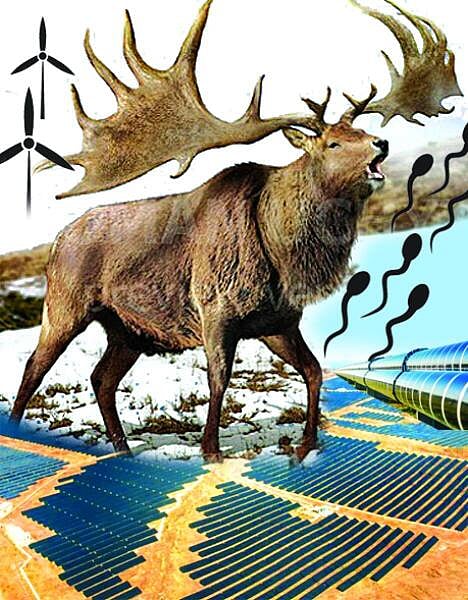 ಗಂಡುಗಲಿಗಳಿಗೇ ಗಂಡಾಂತರ