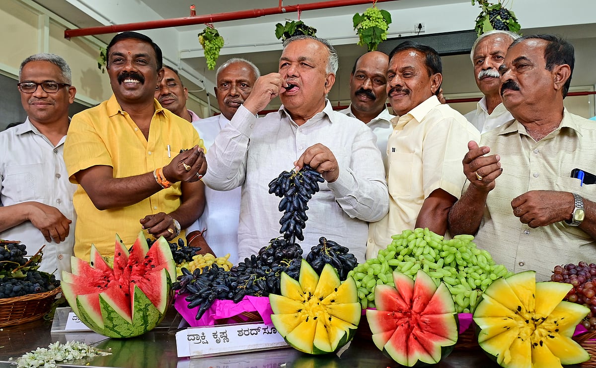 ಬೆಂಗಳೂರು | ಕಲ್ಲಂಗಡಿ, ದ್ರಾಕ್ಷಿ ಮೇಳಕ್ಕೆ ಚಾಲನೆ 