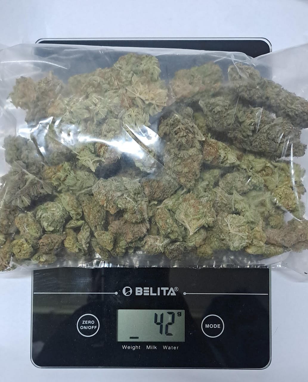 ₹2.18 ಕೋಟಿ ಮೌಲ್ಯದ ಹೈಡ್ರೊ ಗಾಂಜಾ ಜಪ್ತಿ