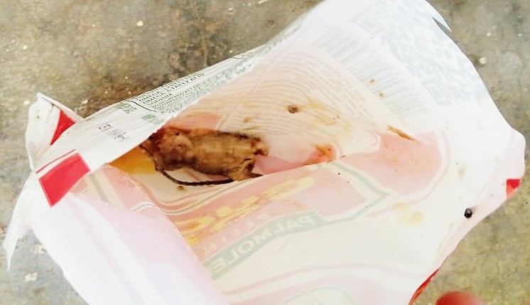 ಅಡುಗೆ ಎಣ್ಣೆ ಪ್ಯಾಕೇಟ್‌ನಲ್ಲಿ ಸತ್ತ ಇಲಿ!