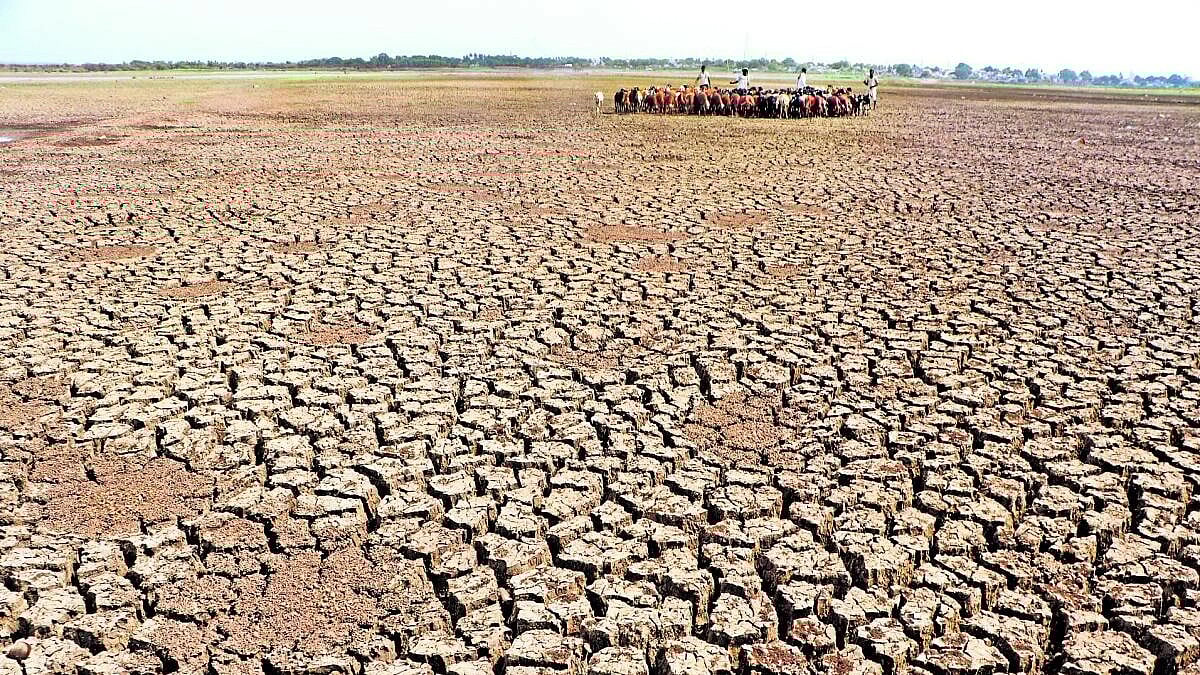 ಆಳ–ಅಗಲ |  ‘ತೀವ್ರ ಬರ’ ಘೋಷಣೆ ಪ್ರಕ್ರಿಯೆ ಸಂಕೀರ್ಣಗೊಳಿಸಿದ ಕೇಂದ್ರ ಸರ್ಕಾರ