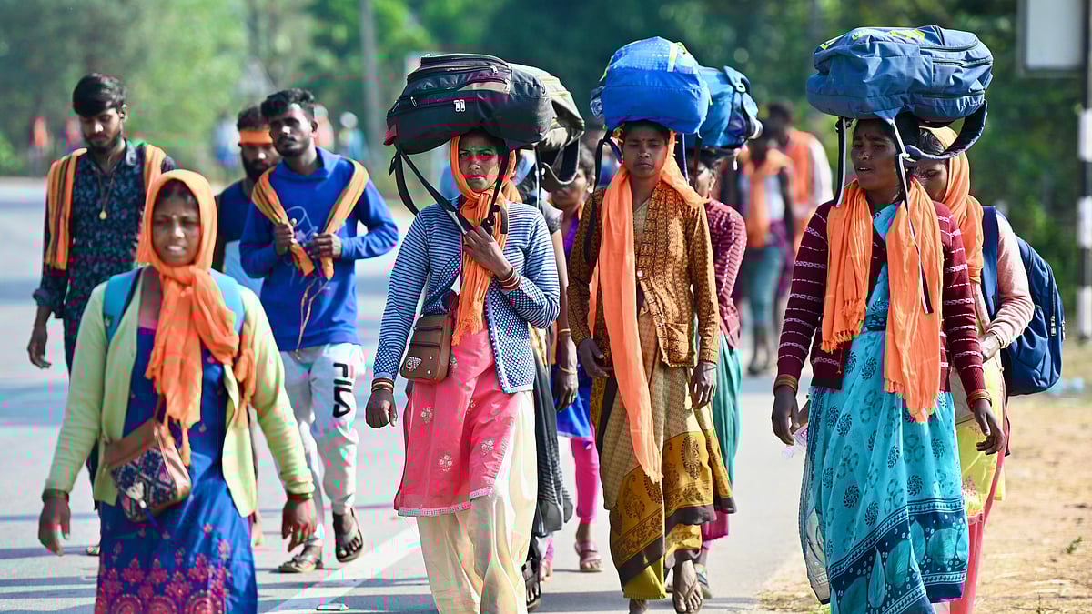 ಧರ್ಮಸ್ಥಳಕ್ಕೆ ಪಾದಯಾತ್ರೆ: ಚಾರ್ಮಾಡಿ ಕಣಿವೆಯಲ್ಲಿ ಭಕ್ತರ ಸಾಲು