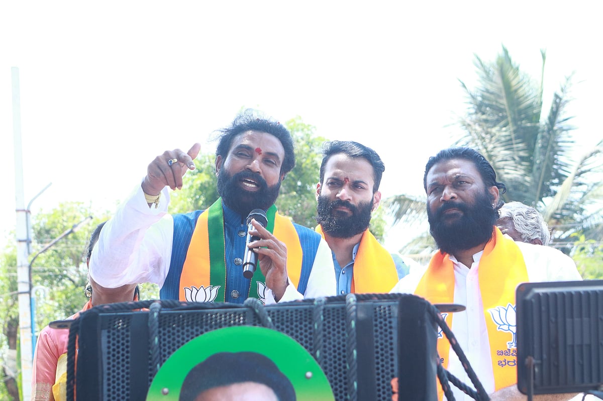 ಲೋಕಸಭೆ ಚುನಾವಣೆ: ಬಿ.ಶ್ರೀರಾಮುಲು ಪರ ಆನಂದ್ ಸಿಂಗ್ ಭರ್ಜರಿ ಪ್ರಚಾರ