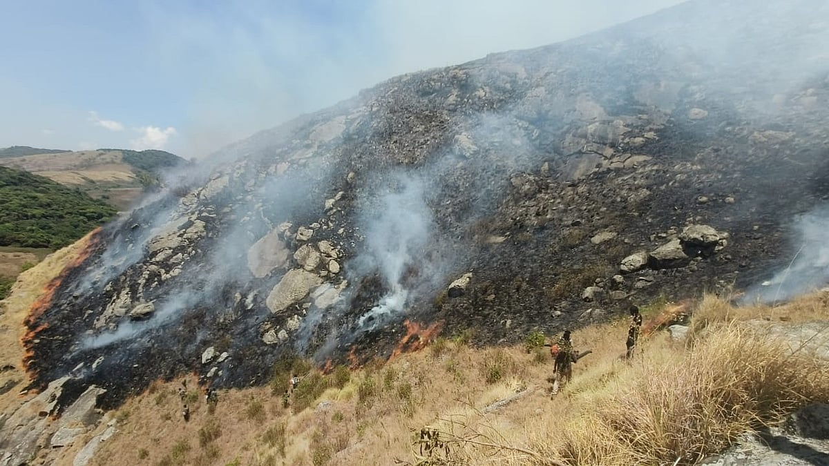 BRTಯಲ್ಲಿ ಕಿಡಿಗೇಡಿಗಳಿಂದ ಕಾಡಿಗೆ ಬೆಂಕಿ: ನಂದಿಸುವ ಪ್ರಯತ್ನ ನಡೆಸಿರುವ ಸಿಬ್ಬಂದಿ