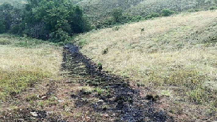 ಕಾಡ್ಗಿಚ್ಚು ತಡೆ: ತಂತ್ರಜ್ಞಾನಕ್ಕೆ ಮೊರೆ