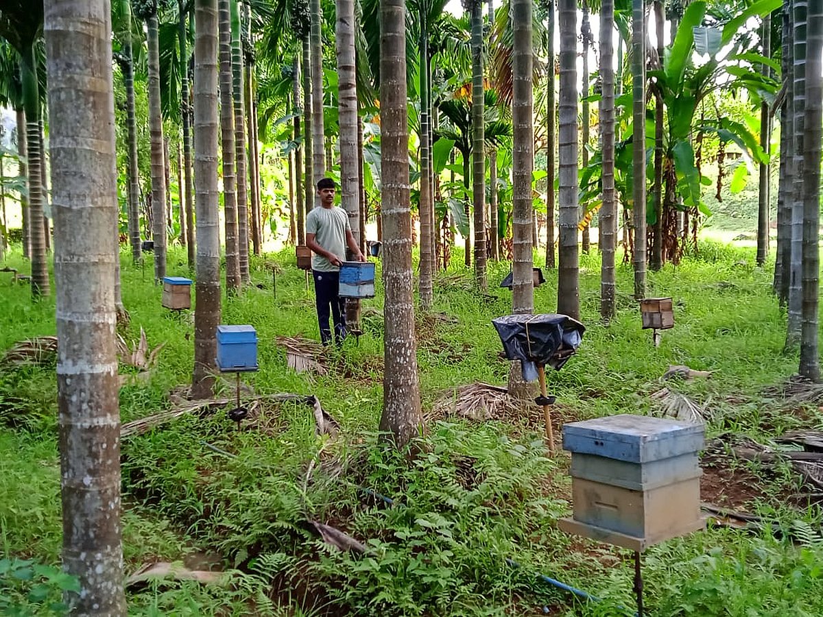 ಕಾರವಾರ: ಜೇನು ಕುಟುಂಬಕ್ಕೆ ಶುಭ ‘ಸಂದೇಶ’, ಯುವ ಪೀಳಿಗೆಗೆ ಪ್ರೇರಣೆ