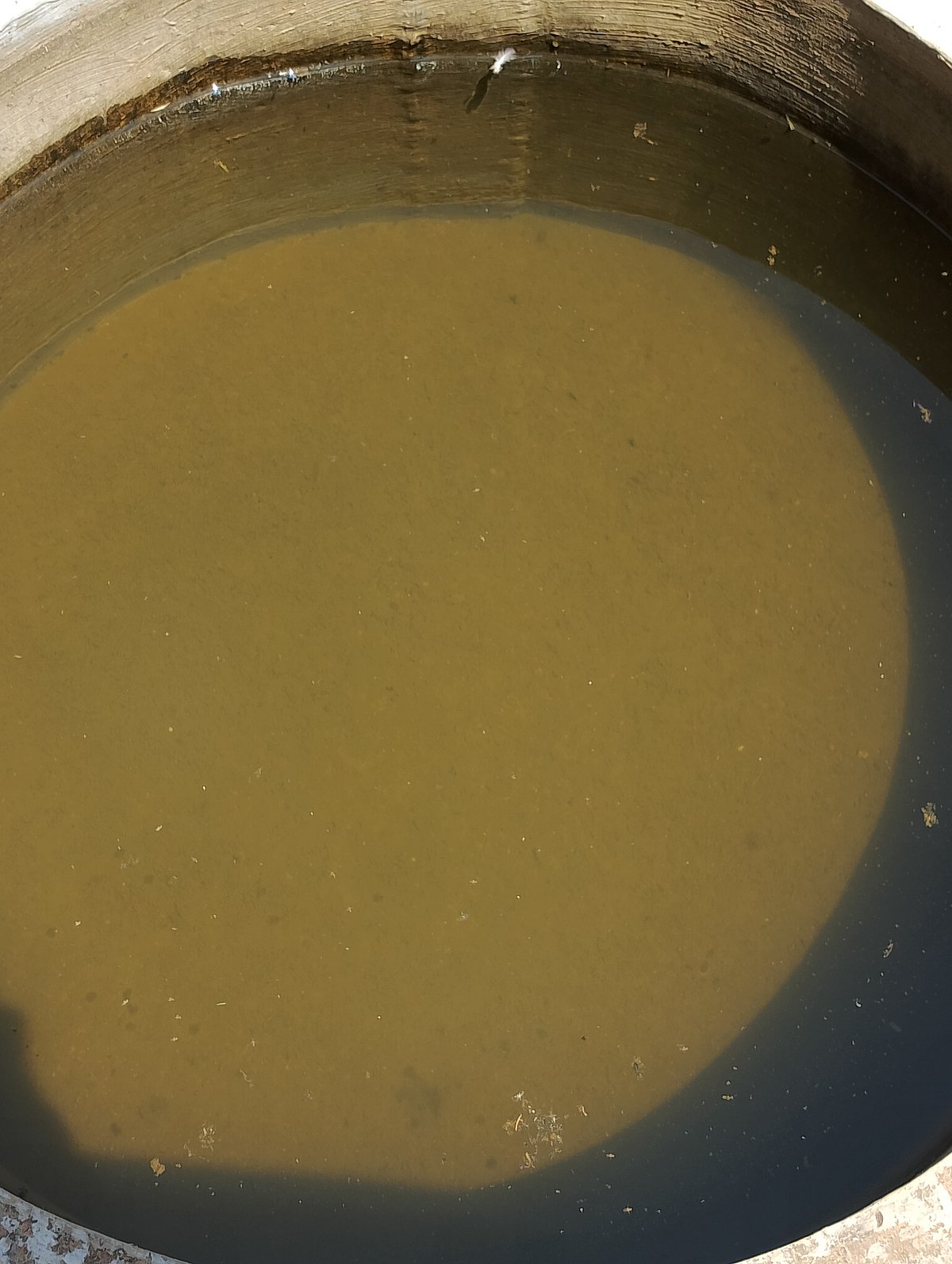 ಶಿರಸಿ | ಬಳಕೆಗೆ ಬಾರದ ಬಾವಿ: ಆತಂಕ 