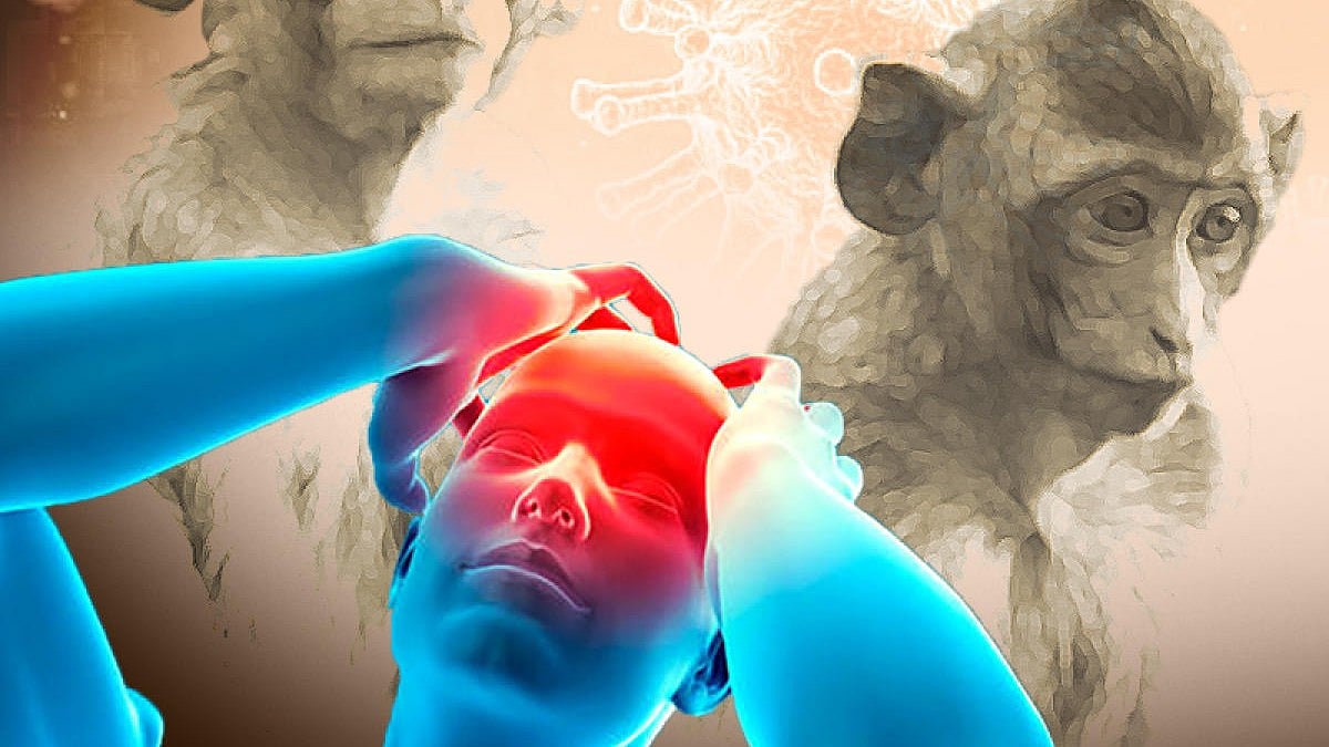 ಚಿಕ್ಕಮಗಳೂರು | ಮಂಗನ ಕಾಯಿಲೆ: ತಿಂಗಳಲ್ಲಿ 9 ಪ್ರಕರಣ