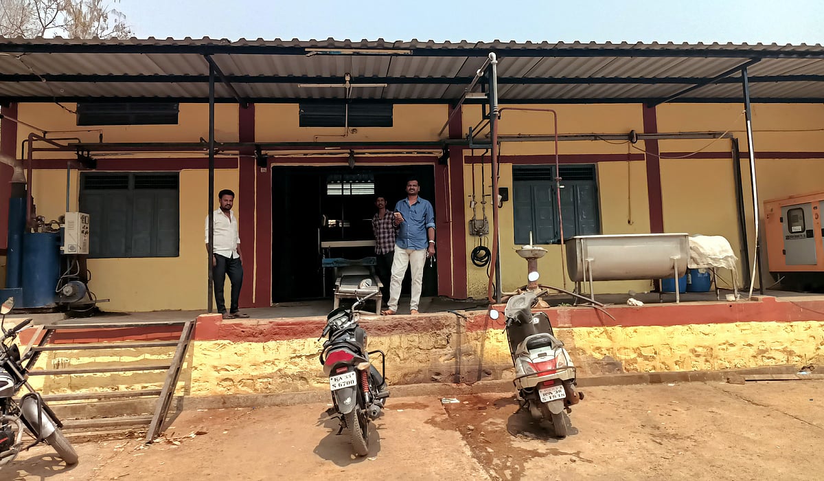 ಹುಣಸಗಿ: ಬರದಲ್ಲೂ ಹೆಚ್ಚಿದ ಹಾಲು ಉತ್ಪಾದನೆ, ತಿಂಗಳಲ್ಲಿ 56 ಸಾವಿರ ಲೀಟರ್ ಸಂಗ್ರಹ