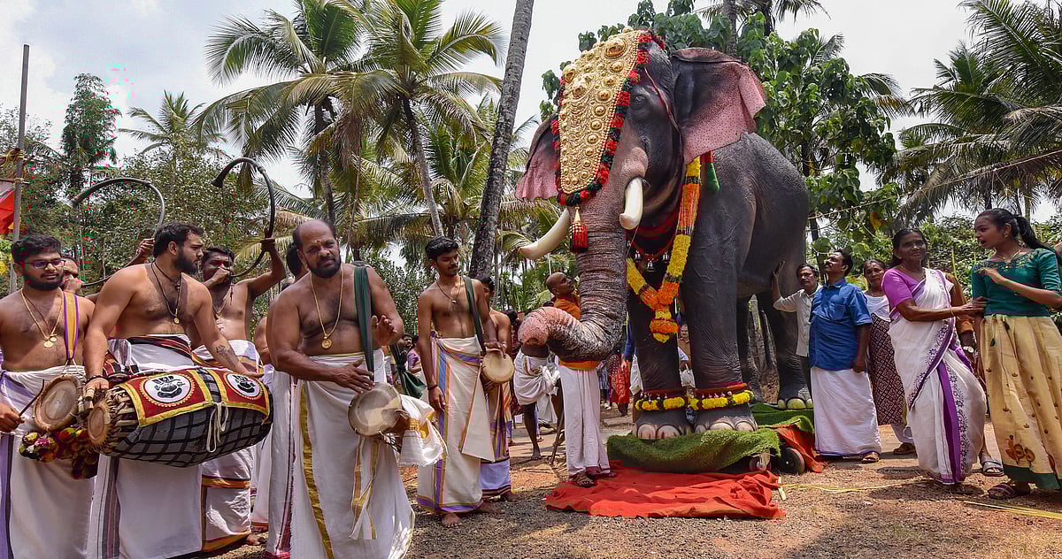 ಕೇರಳ: ದೇಗುಲಕ್ಕೆ ಯಾಂತ್ರಿಕ ಆನೆ‌ ದೇಣಿಗೆ ನೀಡಿದ ನಟಿ ಪ್ರಿಯಾಮಣಿ