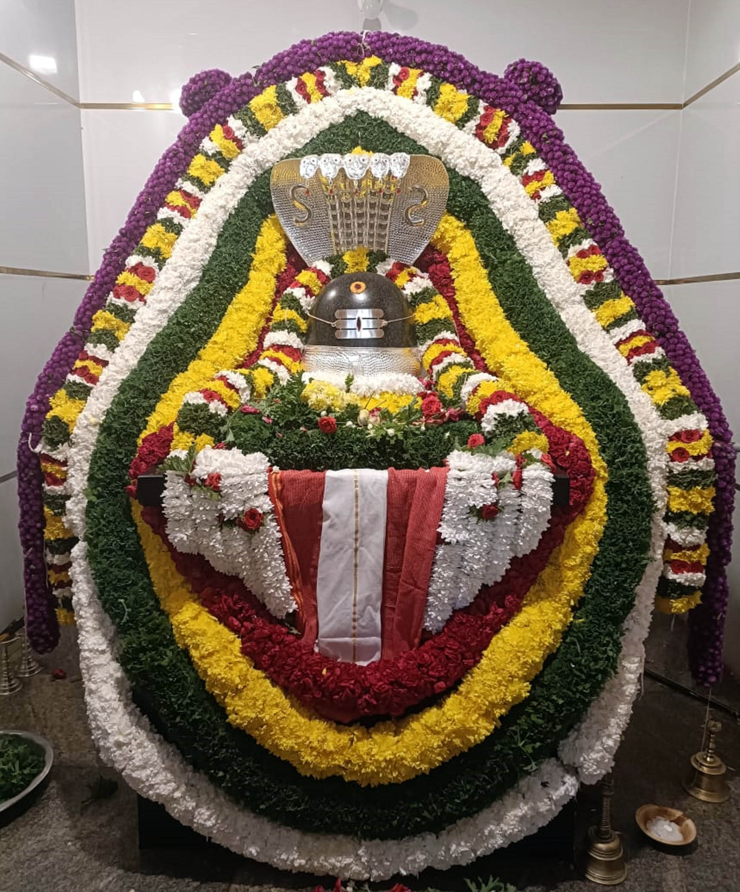 ಶಿವರಾತ್ರಿ ಹಿನ್ನೆಲೆಯಲ್ಲಿ ಶ್ರೀರಂಗಪಟ್ಟಣ ತಾಲ್ಲೂಕಿನ ಹೊಸ ಆನಂದೂರು ಗ್ರಾಮದ ಅರಕೇಶ್ವರ ದೇವಾಲಯದಲ್ಲಿ ಶಿವಲಿಂಗವನ್ನು ವಿಶೇಷವಾಗಿ ಅಲಂಕಾರ ಮಾಡಿ ಪೂಜಿಸಲಾಯಿತು