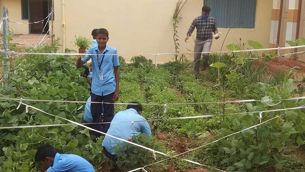 ಗೌರಿಬಿದನೂರು: ಬಹುಮುಖಿ ಚಟುವಟಿಕೆಯ ಅಲೀಪುರ ಶಾಲೆ