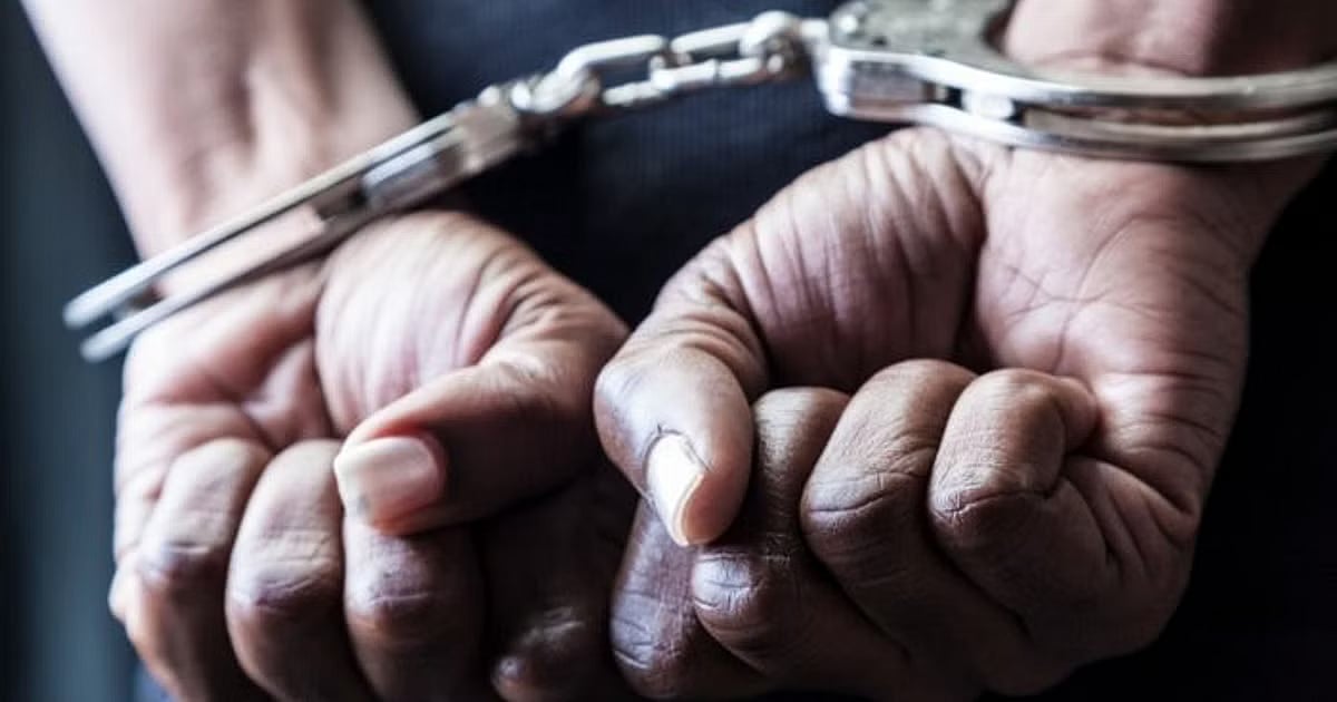 ರಾಜಸ್ಥಾನ | ಬೇಹುಗಾರಿಕೆ ಆರೋಪದಡಿ ವ್ಯಕ್ತಿ ಬಂಧನ