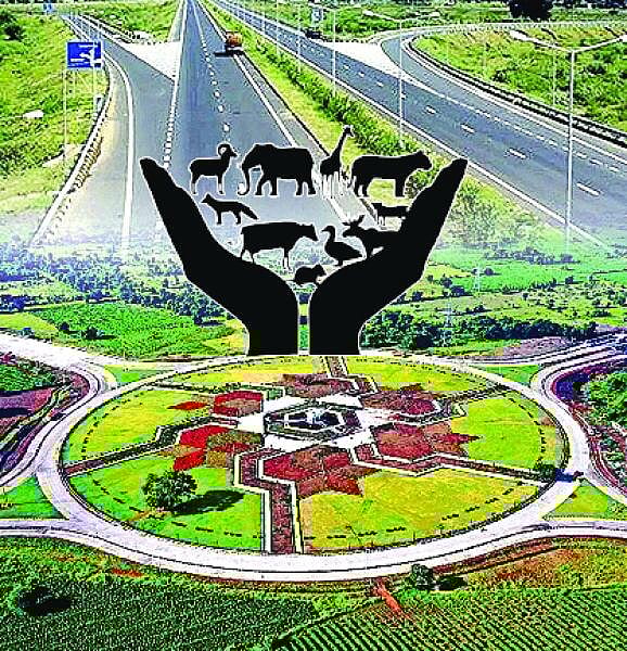 ವಿಶ್ಲೇಷಣೆ: ವನ್ಯಜೀವಿಗಳ ರಕ್ಷಣೆಗೆ ‘ಮಹಾಮಾರ್ಗ’