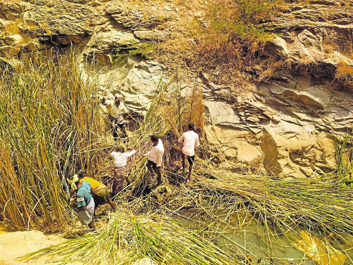 ಒಳ್ಳೆ ಸುದ್ದಿ: ಕಾಲುವೆ ಸ್ವಚ್ಛತೆಗೆ ಗ್ರಾಮಸ್ಥರ ‘ಶ್ರಮದಾನ’