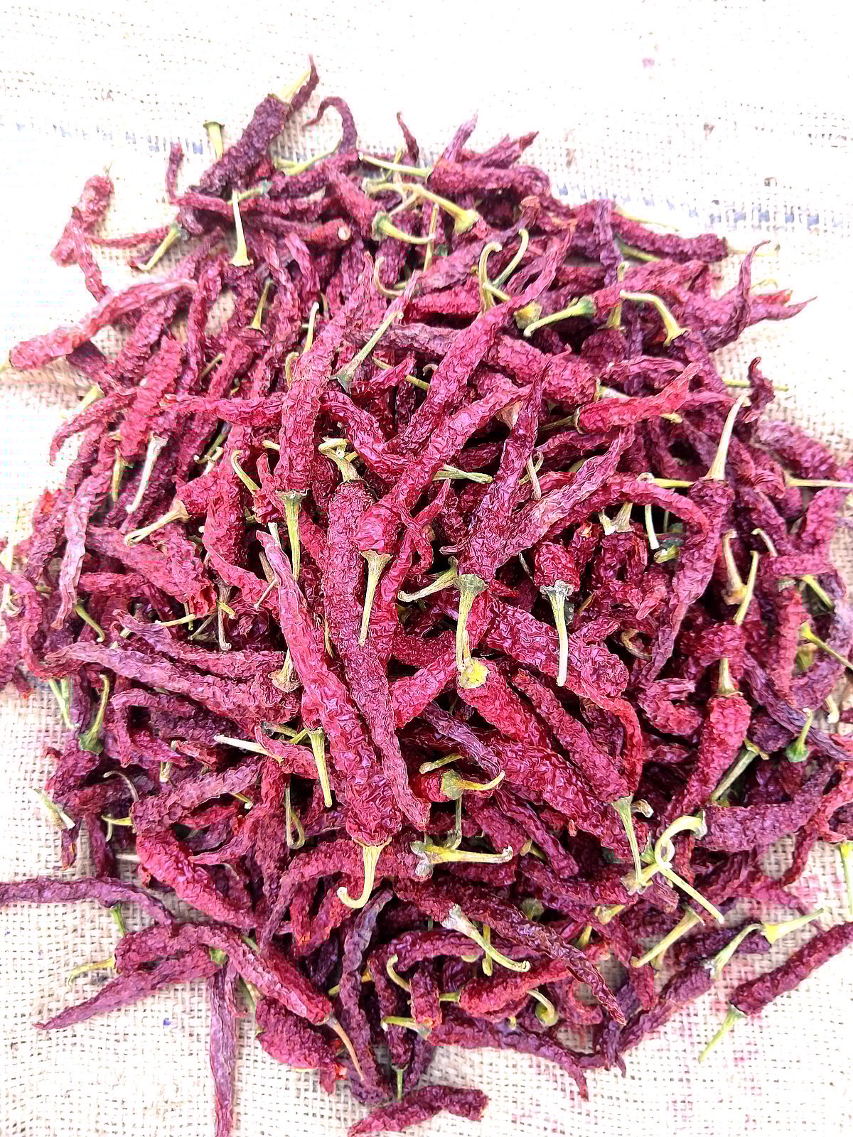 ಬ್ಯಾಡಗಿ ಮೆಣಸಿನಕಾಯಿ ಆವಕದಲ್ಲಿ ಚೇತರಿಕೆ