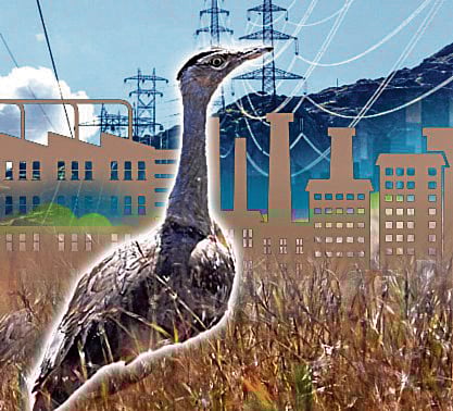 ವಿಶ್ಲೇಷಣೆ: ಅಭಿವೃದ್ಧಿ– ಪರಿಸರಕ್ಕೆ ಸಮನ್ವಯ ಸೂತ್ರ